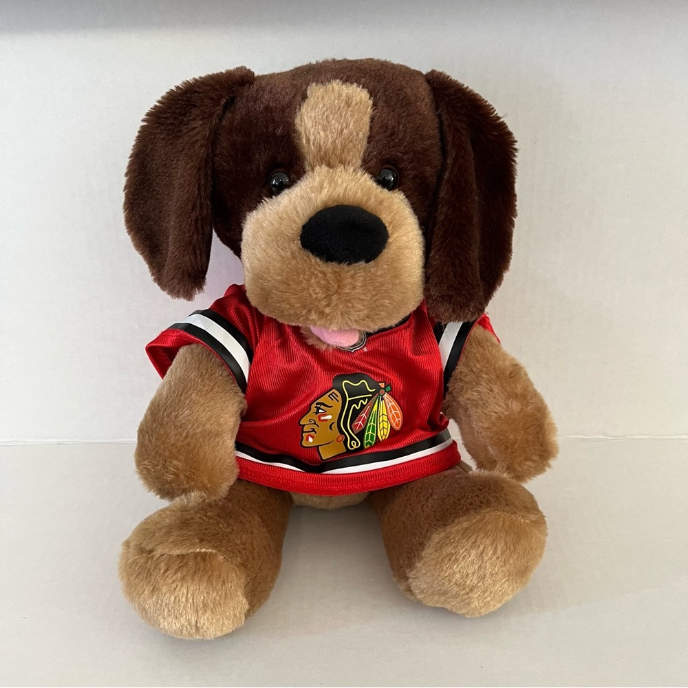Build a Bear NHL Chicago Blackhawks Jersey & Dog